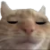 cat_nap Discord Emoji