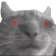 cat_watch Discord Emoji