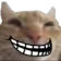 cat_troll Discord Emoji