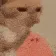 melon