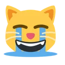 cryingcat Discord Emoji