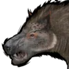 Andrewsarchus