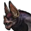 Desmodus