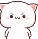 PeachCatAngry