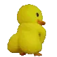 bigbootyduck