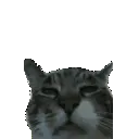 berblown