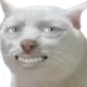 Catsmirk