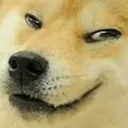 Evildoge evildoge Discord Emoji