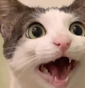 ch_lunawow Discord emoji