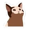 CAT Discord Emoji
