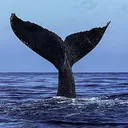 ScreenShot20220528at21