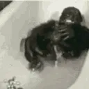monkey_bath
