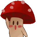 WaveShroom