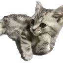 emoji_13