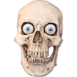 skull