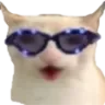 CatChest