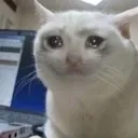 __