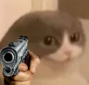 sussygun sussygun