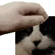 squishthemaiden squishthemaiden