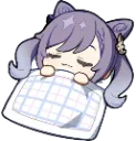 Kokusei_sleep