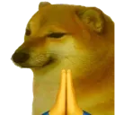 CheemsNamaste