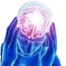 M_bigbrain