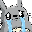 TotoroSAD Discord Emoji