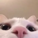 emoji_16