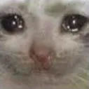 sadcat sadcat