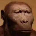MonkeHmm
