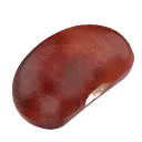 bean