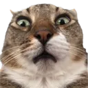 Terrance