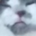 bino Discord emoji