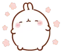 happy_molang