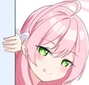 HanakoPeek