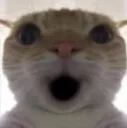 POGGGGG