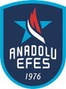 teamanadoluefes Discord emoji