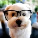 smart