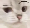 Catraised