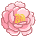 camelliaflower