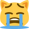 Sad Cat sad_cat Discord Emoji