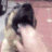 doggo