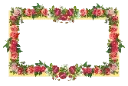floral_frame_PNG83