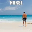 horseman