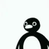 D_notnot