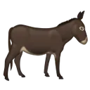 Donkey