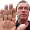 arnoldHalt