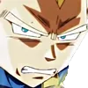 vegetagross vegetagross