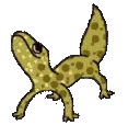 SuperFastLizardVibe