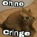 ohnocringe